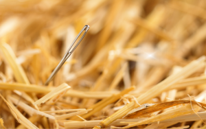 innovation needle in a haystack