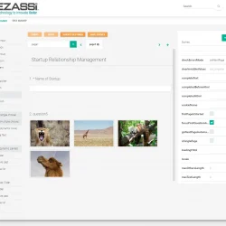 Survey-Builder-for-Structured-Id